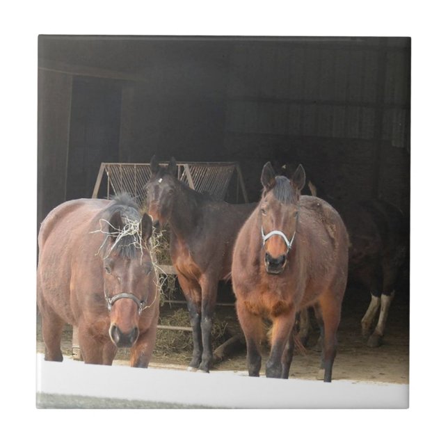 Fyra hästar kakelplatta (Framsidan)