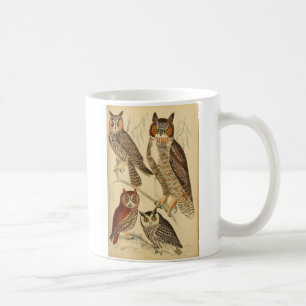 Fyra illustrationer av uggla kaffemugg