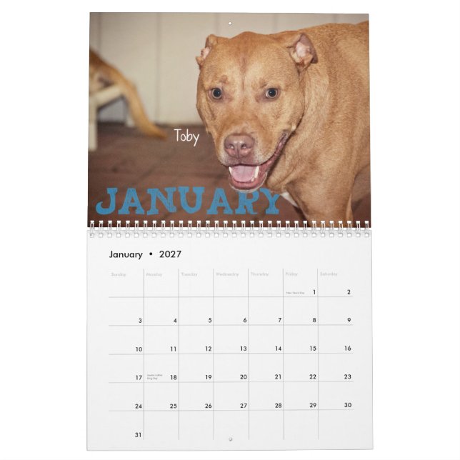 Fyra kalender för tassar 2014 (Jan 2027)