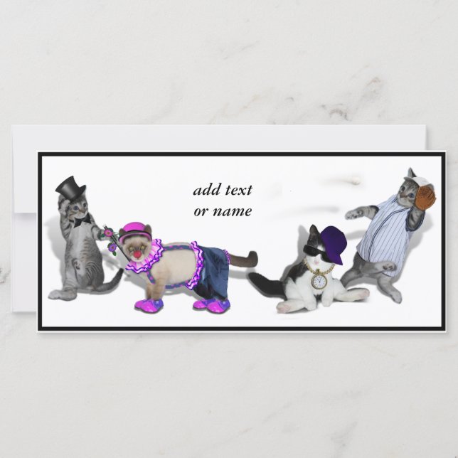 Fyra kattungar vid uppspelning (Framsida)