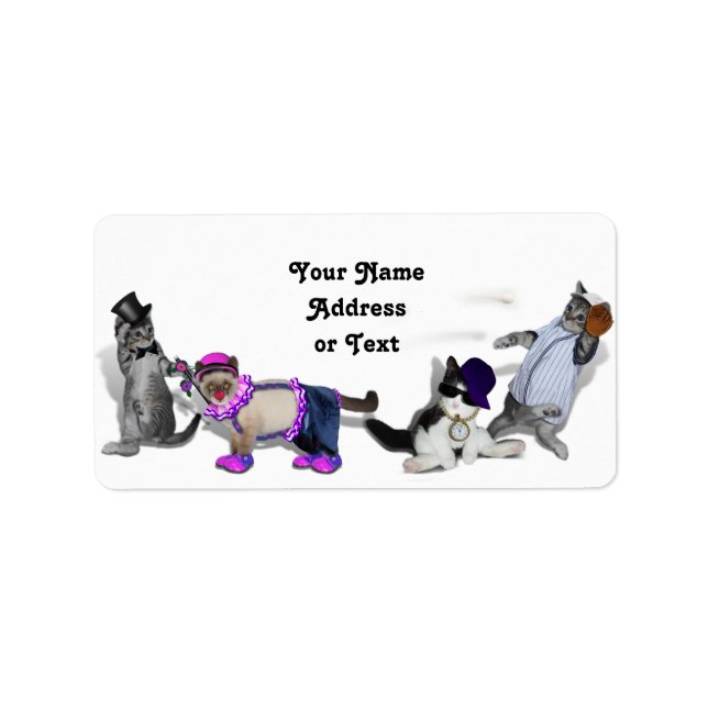 Fyra kattungar vid uppspelning adressetikett (Framsidan)