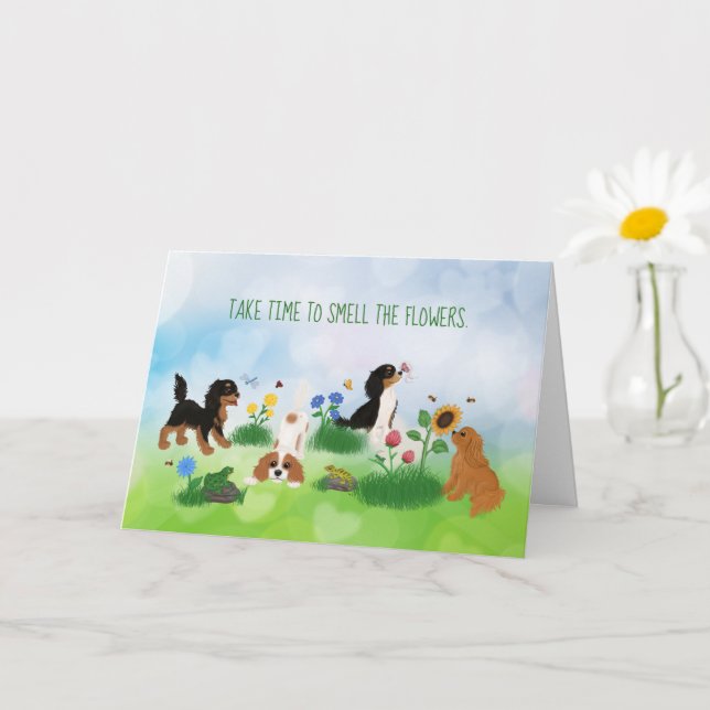 Fyra kavalierspanjorer i Fält i Flowers Kort (Liten växt)