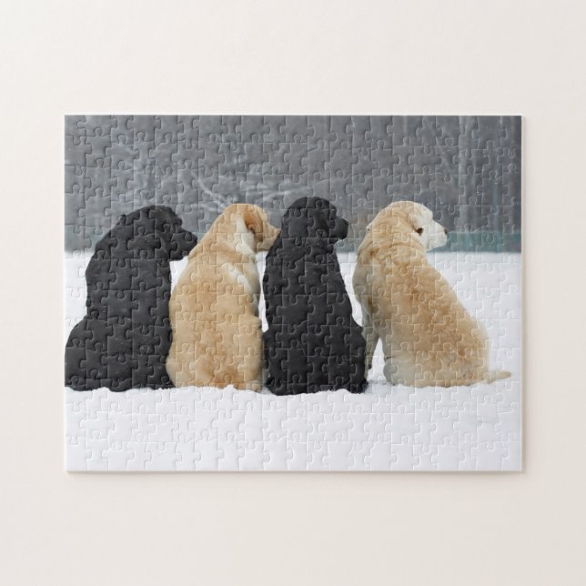Fyra Labrador Hundar i Snö Pussel (Horisontell)