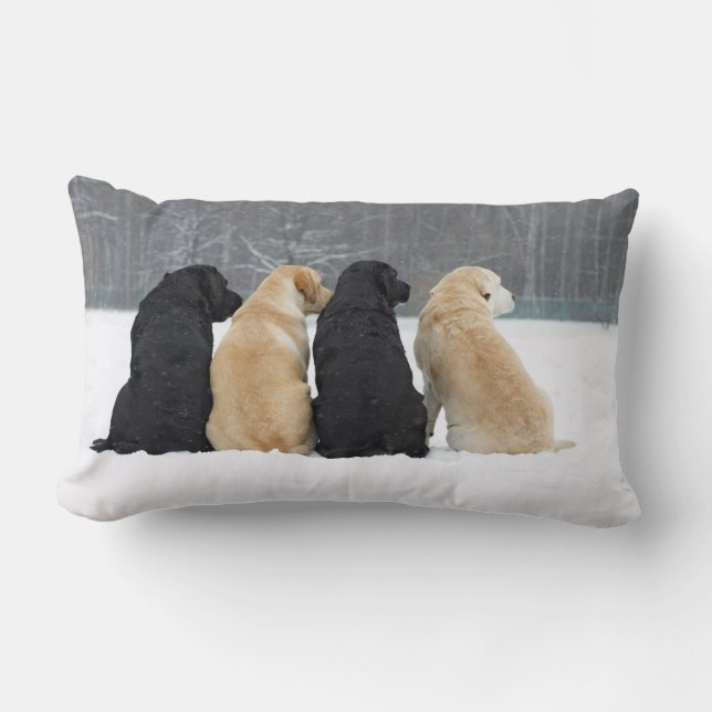 Fyra Labradorhundar I Snö Lumbarkudde (Framsida)