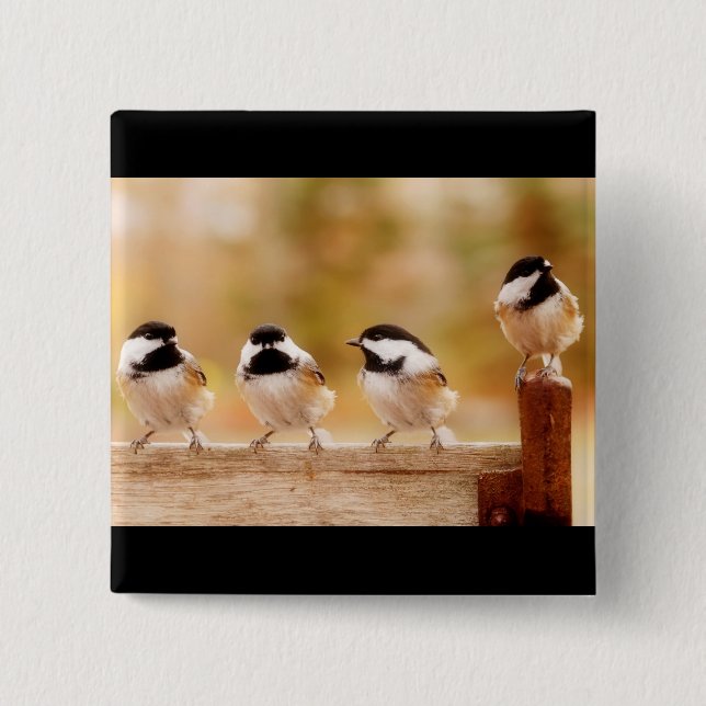 Fyra lite chickadees knapp (Framsida)