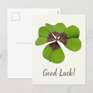 Fyra Löv Lucky Klöver St patricks day Lycka till Helg Vykort