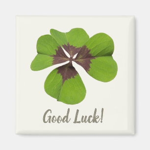 Fyra Löv Lucky Klöver St patricks day Lycka till Magnet