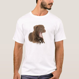 Fyra-Månad-Gammalt gäspa för chokladlabbvalp T Shirt