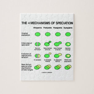 Fyra mekanism av Speciation (evolution) Pussel