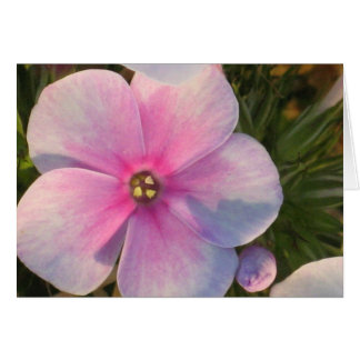 Fyra O-sockelsockelkort Hälsningskort