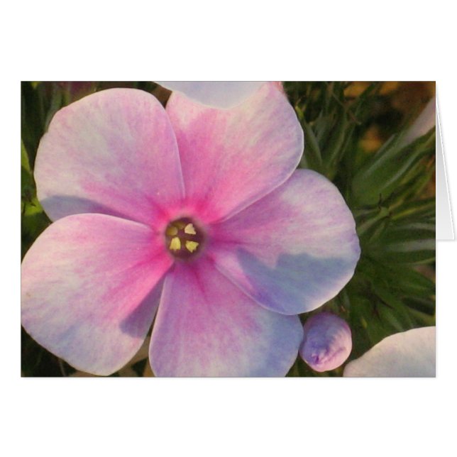 Fyra O-sockelsockelkort Hälsningskort (Framsidan Horizontal)