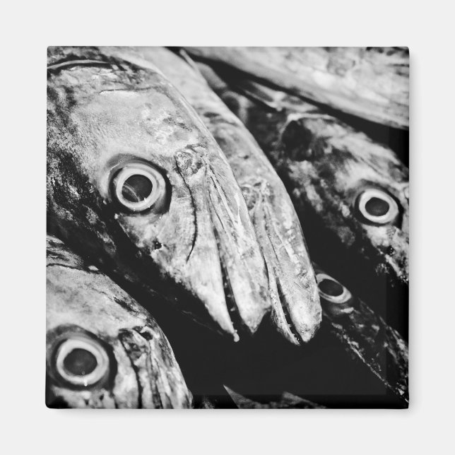 fyra öga magnet (Framsidan)