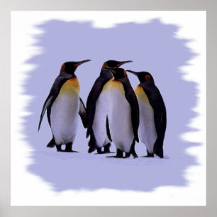 Fyra Penguiner Poster 24 x 24 tum