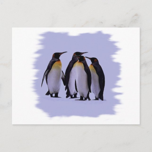 Fyra Penguiner Vykort (Framsida)