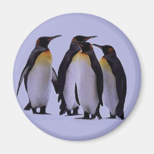 Fyra pingvin magnet