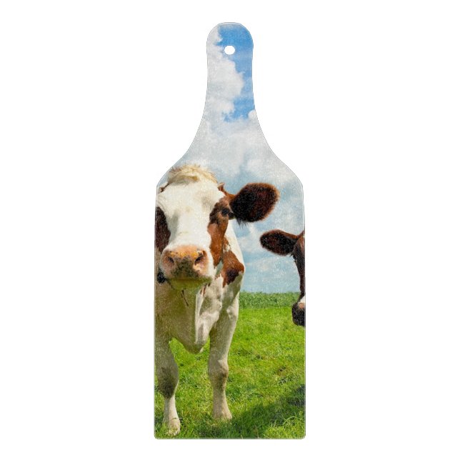 Fyra prata kor (Framsidan)