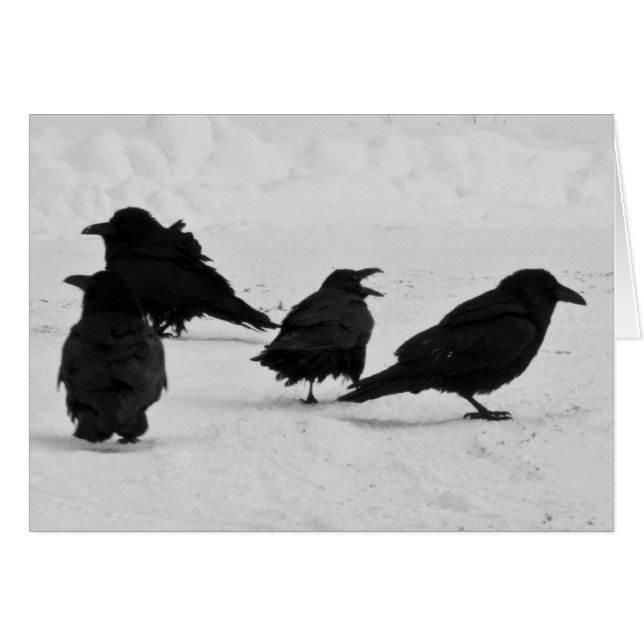 Fyra Ravens Hälsningskort (Framsidan Horizontal)