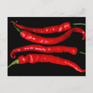 Fyra röda chilies pccna vykort