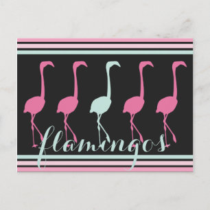 Fyra Rosor Flamingos en ljusblå blå Vykort