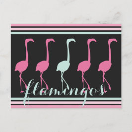 Fyra Rosor Flamingos en ljusblå blå Vykort