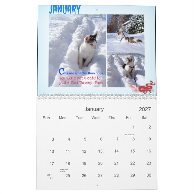 Fyra säsonger av kattvishet 101 kalender (Jan 2027)