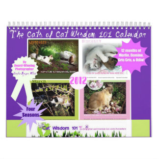 Fyra säsonger av kattvishet 101 kalender