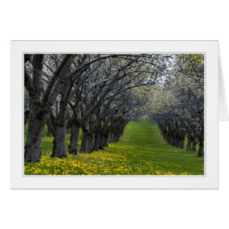 Fyra säsonger i michigan 02-kort OBS kort