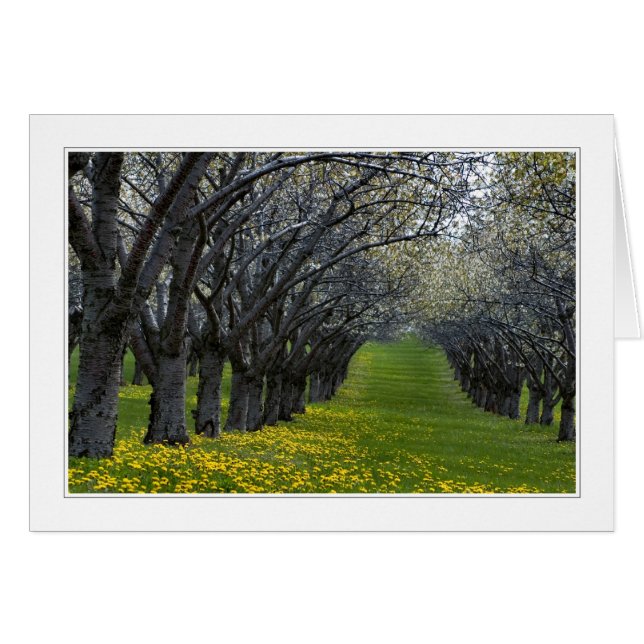 Fyra säsonger i michigan 02-kort OBS kort (Framsidan Horizontal)