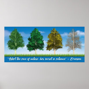 Fyra sjöar vid Aspen Träd Poster