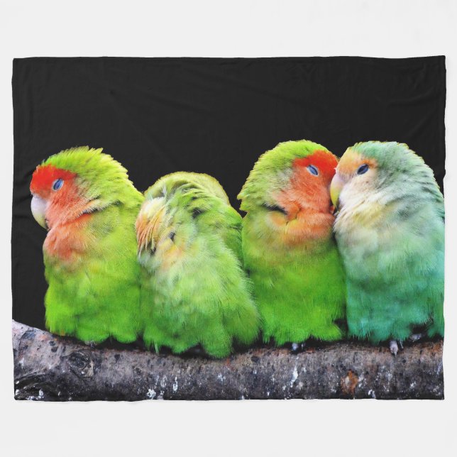 Fyra små kanarier fleecefilt (Framsidan (Horisontell))