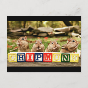 Fyra söta chipmunkar vykort