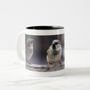 Fyra Sparrows på ett staket Två-Tonad Mugg