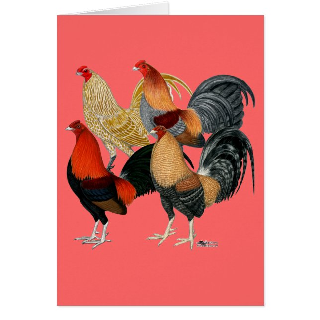 Fyra spel OBS kort (Framsidan)