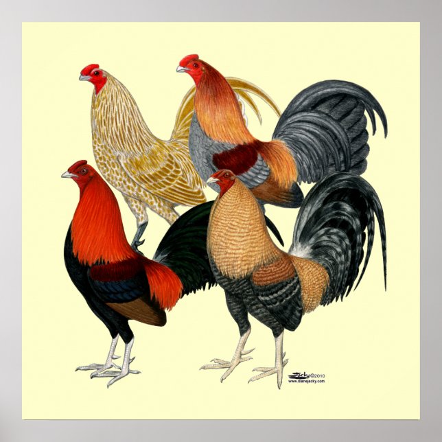 Fyra spel poster (Framsidan)