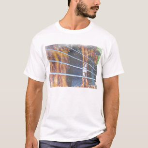 Fyra stränger bas överbryggar tätt upp fotogrun t-shirt