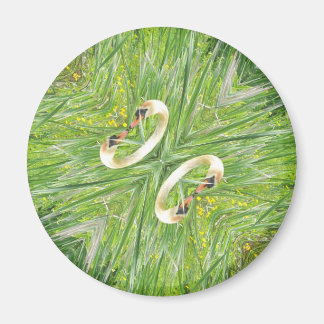 Fyra svanar kylmagnet magnet