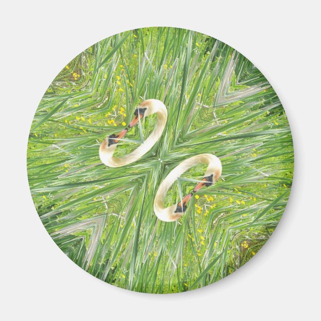 Fyra svanar kylmagnet magnet (Framsidan)