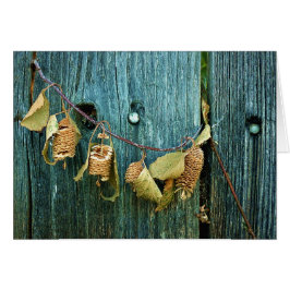 Fyra systrar hälsningskort