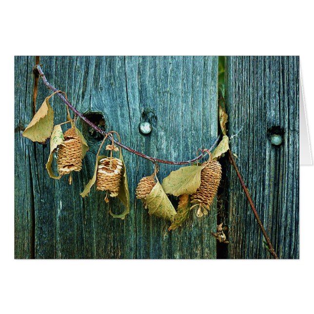 Fyra systrar hälsningskort (Framsidan Horizontal)