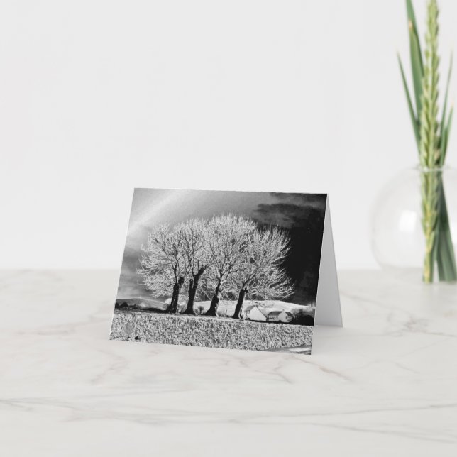 Fyra systrar kort (Framsida)