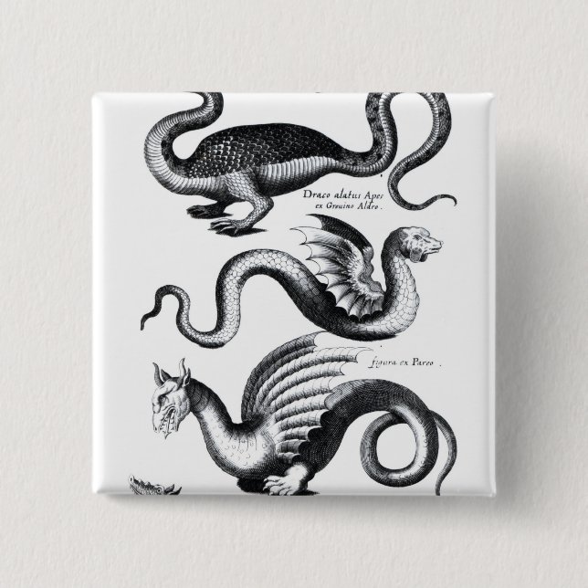 Fyra typer av draken knapp (Framsida)