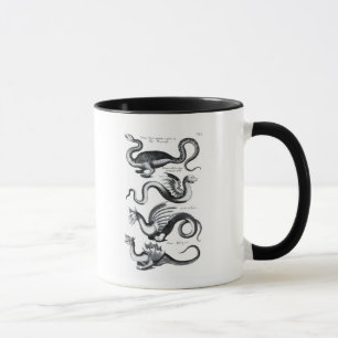 Fyra typer av draken mugg