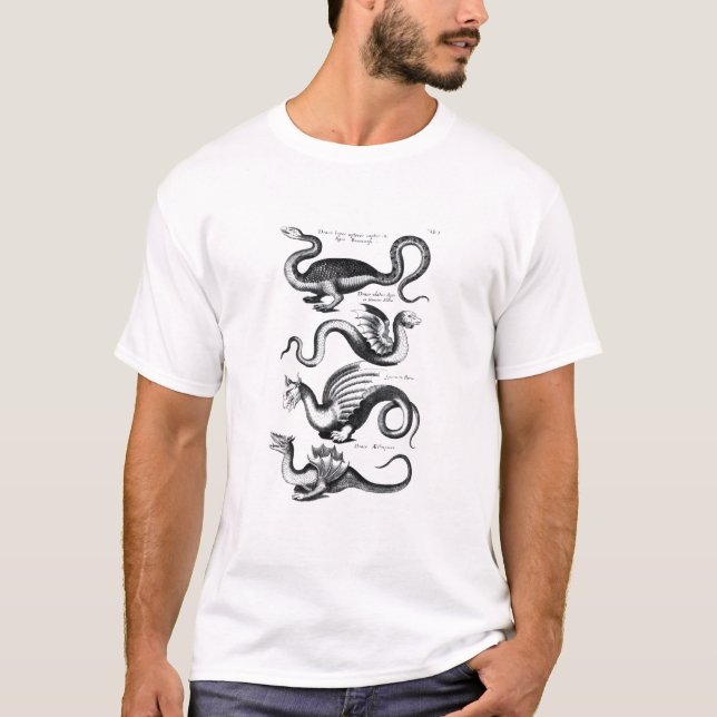 Fyra typer av draken tee (Framsida)