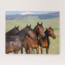 Fyra vackra hästar Jigszle Puzzle