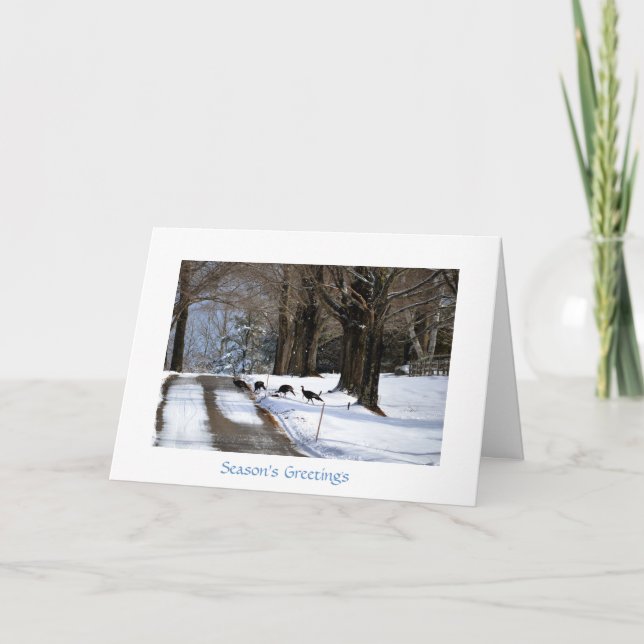 Fyra vildkalkoner - helgdagkort helgkort (Framsida)