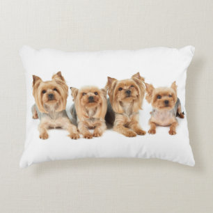 Fyra yorkies prydnadskudde