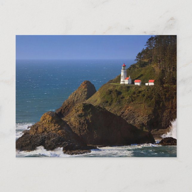 Fyrar | Oregon Coast Lighthouse Vykort (Framsida)