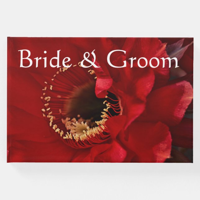 Fyratacaktus blomma gästböcker (Framsida)