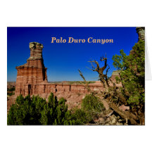 Fyren beskådar i den Palo duroen