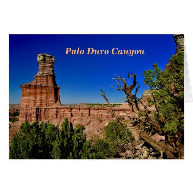 Fyren beskådar i den Palo duroen Hälsningskort (Framsidan Horizontal)